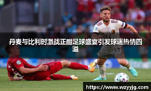 qy千亿丹麦与比利时激战正酣足球盛宴引发球迷热情四溢
